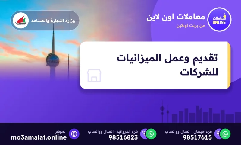 تقديم وعمل الميزانيات للشركات